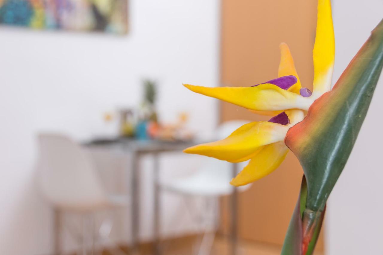 Magnifico Estudio En Bolsa 6. Ac. Apartment Malaga Ngoại thất bức ảnh